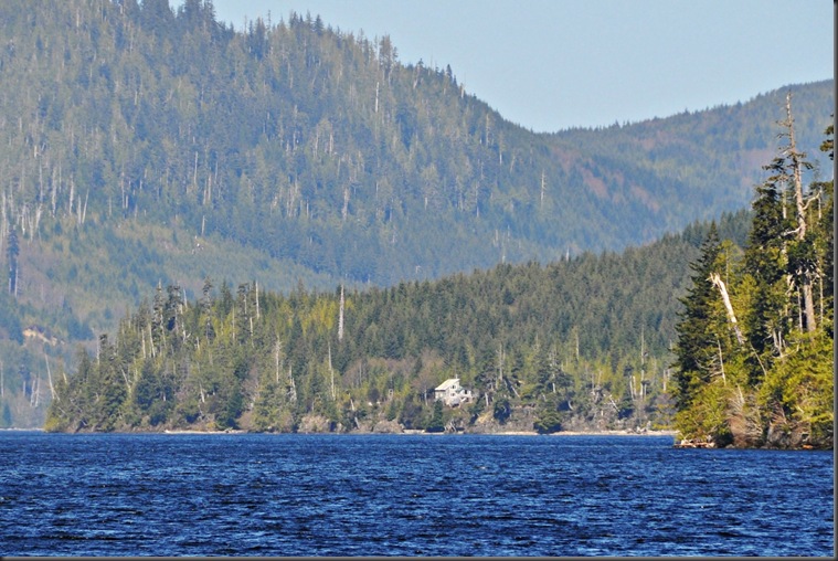 Our cabin on the lake