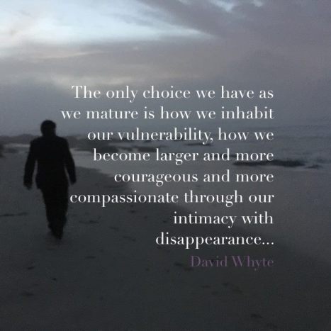 12495176_1327003080659025_4392972375624230765_n