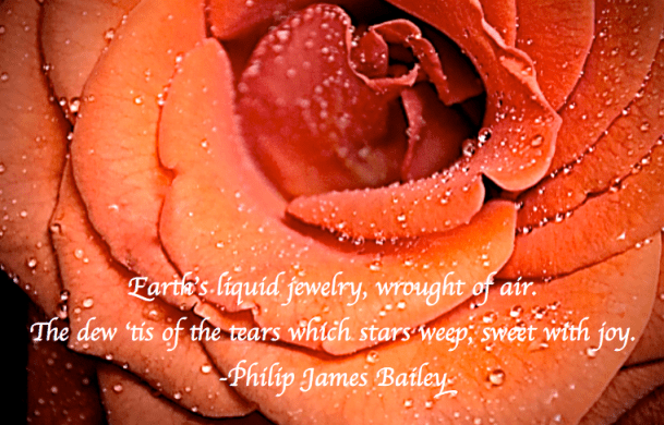 Screen Shot 2017-10-13 at 11.21.38 PM.png