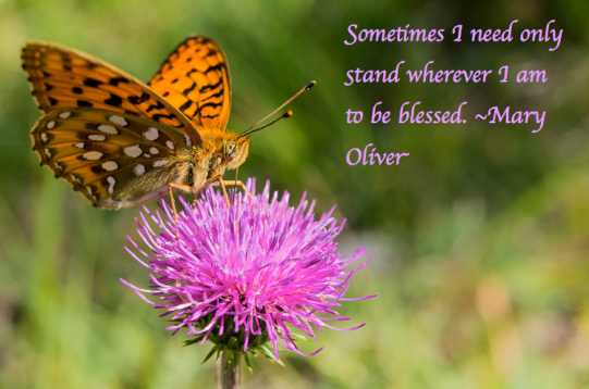 Screen Shot 2017-11-21 at 9.13.23 PM.png