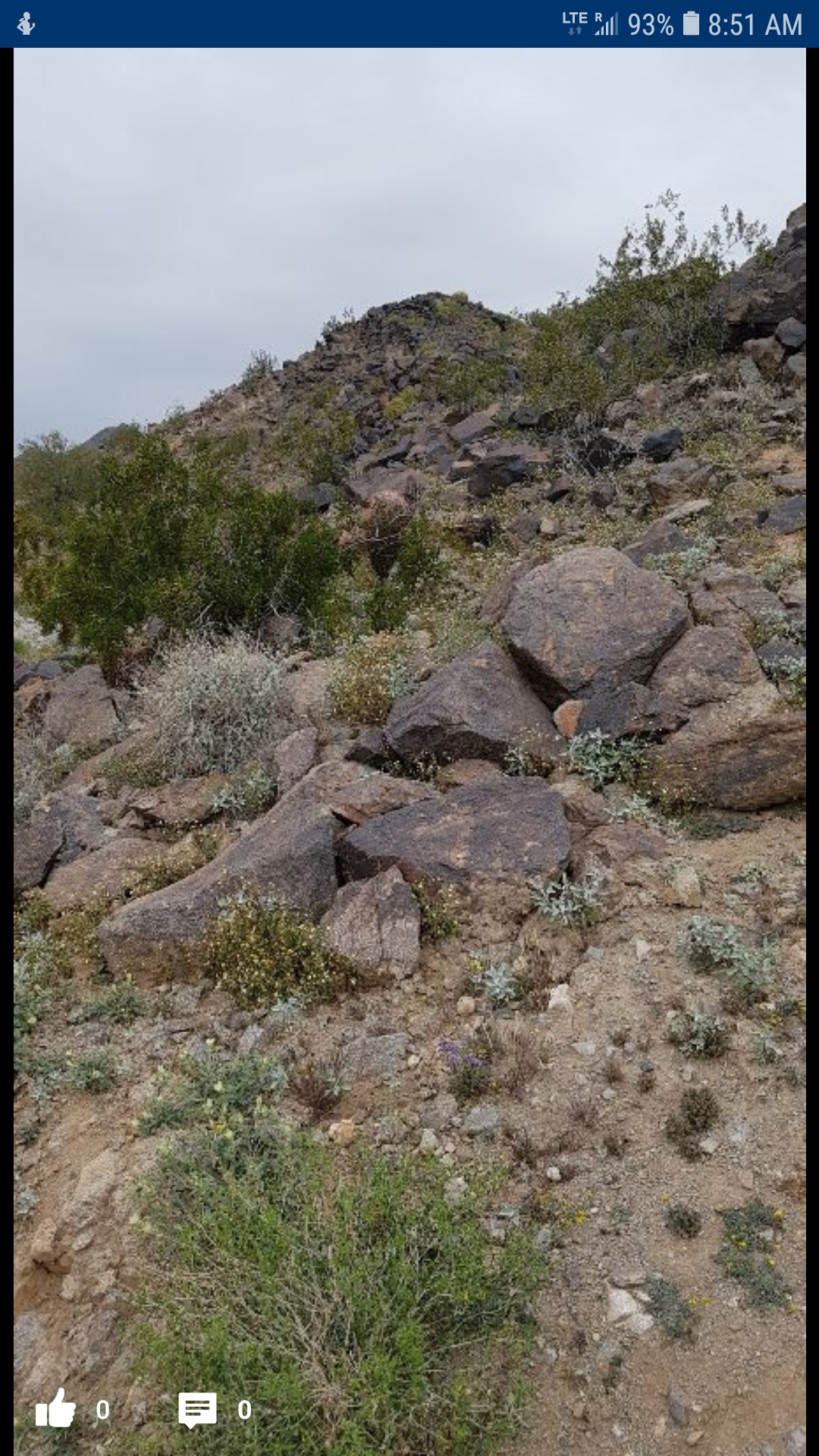 Skyline Regional Park February 13 #2