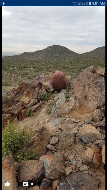 Skyline Regional Park February 13 #3